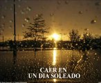 Has visto alguna vez la lluvia   Subtitulado