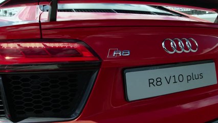 Audi R8 V10 Plus at the 2016 ROLEX 24 at Daytona