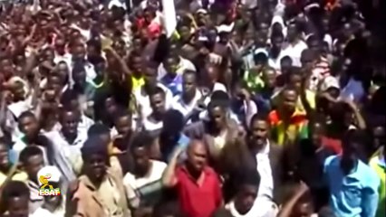 Tamagn Beyene Speech at Media Jamming and Mass uprising in Ethiopia Feb 7 2016