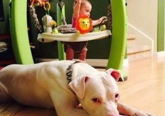 Baby Ellie Fails to Ruffle Pajama Sam