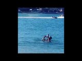 Australian Man Drinks Beer, Swims With His Pet Snake