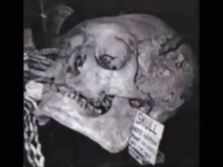 The Nephilim || Illuminati Cover Up Exposed!! || 2016 Best Documentary