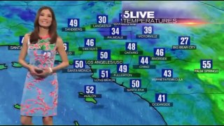 Une présentatrice météo éprouve un petit problème avec sa robe en direct à la télé.