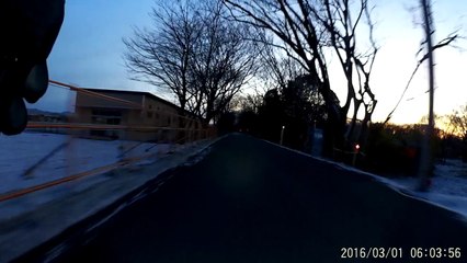 20160301 雪降った