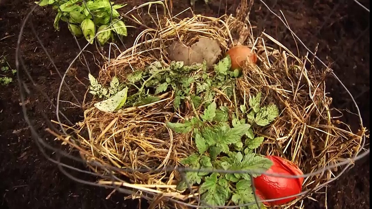 Garden Style ~ Digging in the Dirt