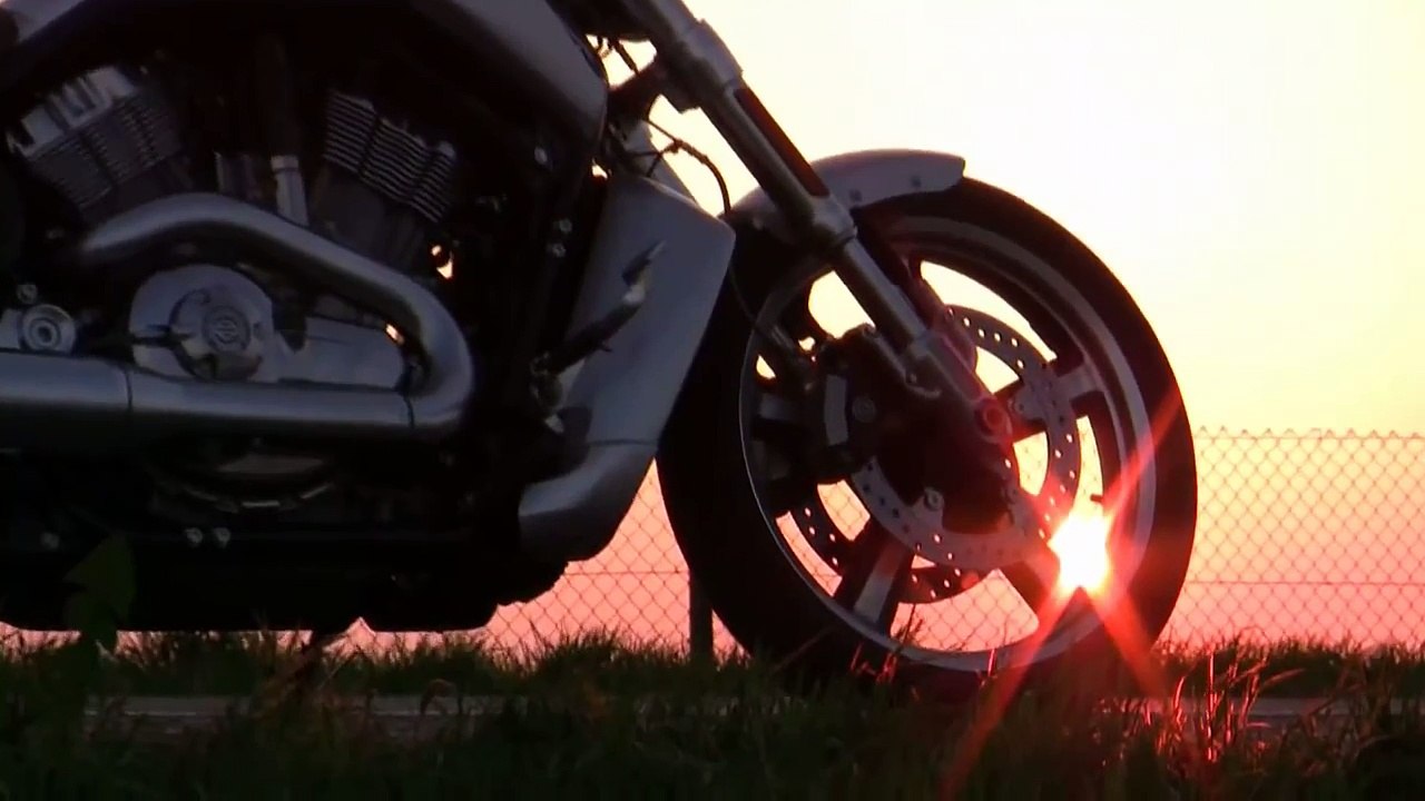 Harley Davidson Duel Night Rod vs. V Rod Muscle