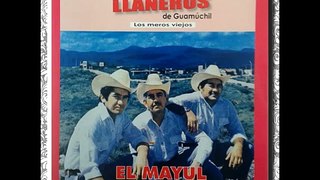 Los Llaneros De Guamuchil - Luis Pulido 