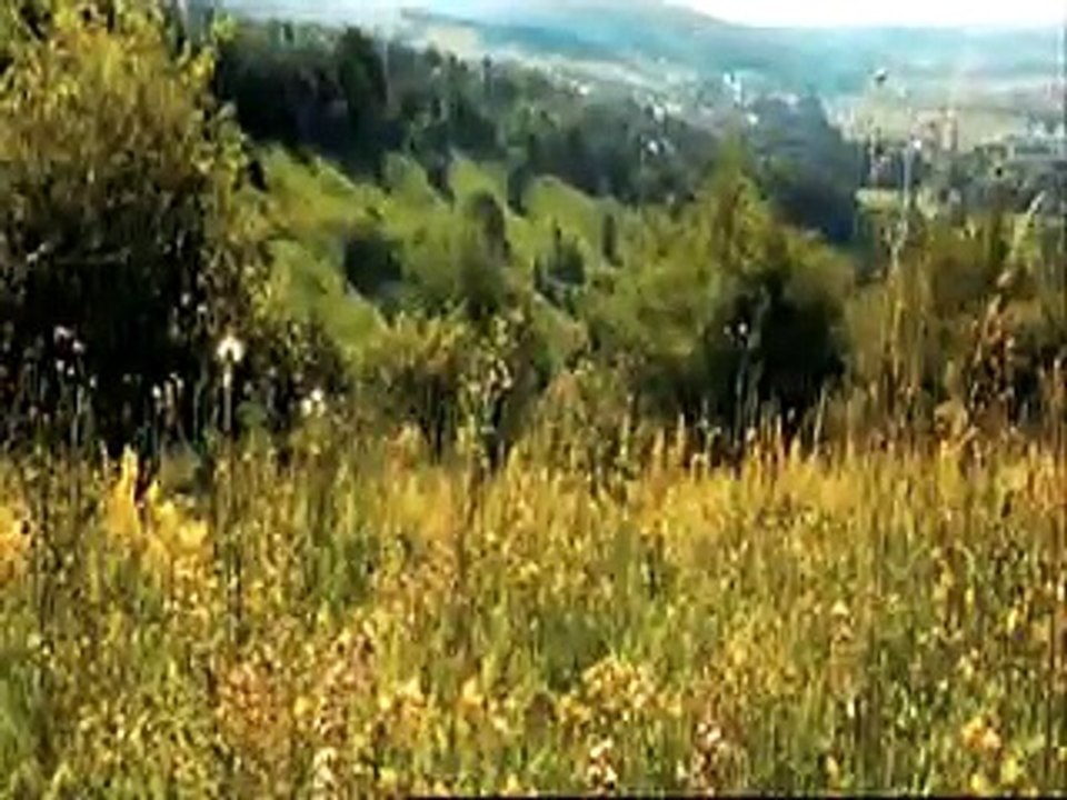 MedKlinn Air Sterilizers, bringing nature back into your living space