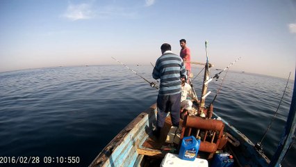 Salt water fishing: Big mack on 28th Feb'16