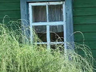 Троица. Великолукский район.