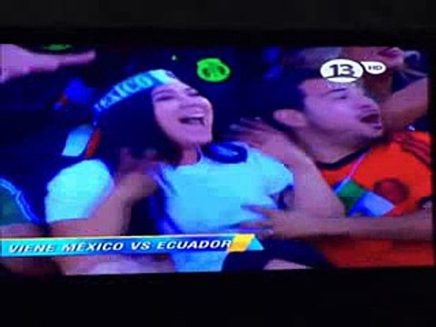 Best Funny Funny Fails Funny Animals Funny Pranks & Jokes