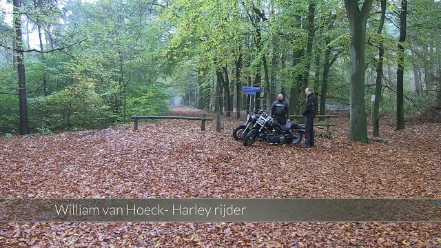 Harley Davidson 2013 Softail Slim & Fat Bob