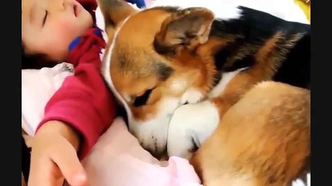 Cute Babies Laughing While Sleeping