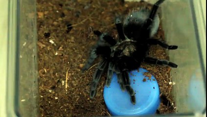 역삼동출장안마 【OIO↔❾❾❽❽↔2311】 선입금없는 후불제 역삼동출장마사지