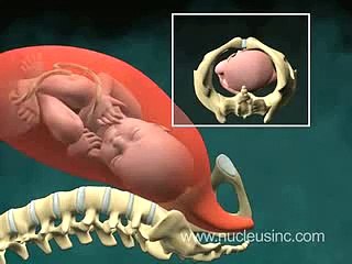 Patient Education Video: Normal Vaginal Childbirth