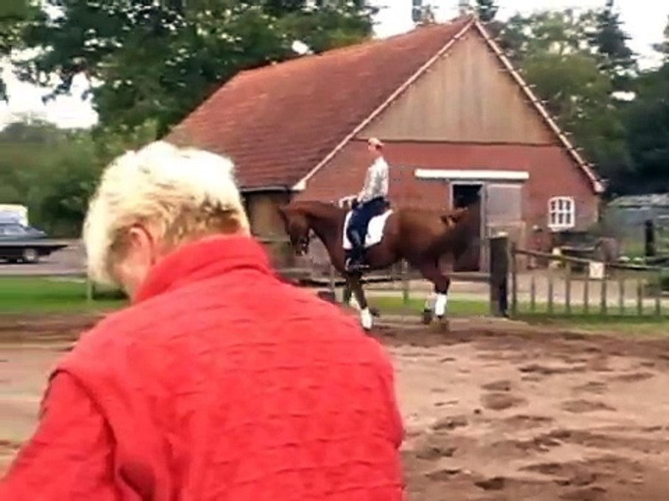 6-jarige scandic x jazz