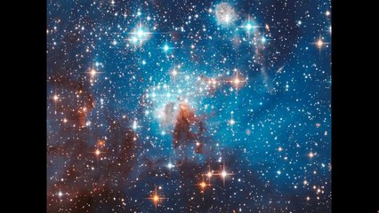 頭を取るセミナー