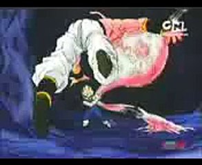 DBZ Next Episode Kid Buu Saga HINDI