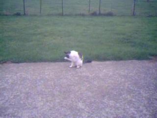 Mon bébé d'amour en vidéo