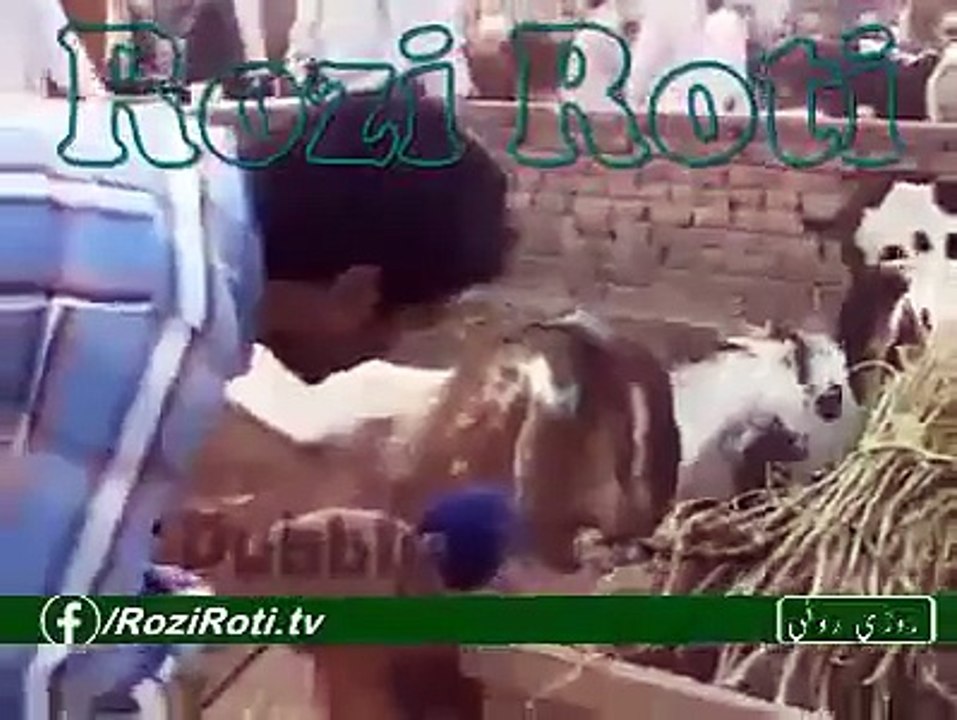 VID-20151211-WA0002.mp4