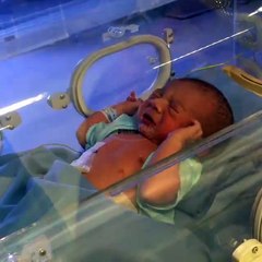 Lucunya  Athariz Alfarizqi Svarga Nangis Minta Susu l  Donita & Adi Nugroho