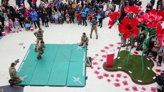 Poppy Day: Royal Marines Reveal Unarmed Combat Techniques