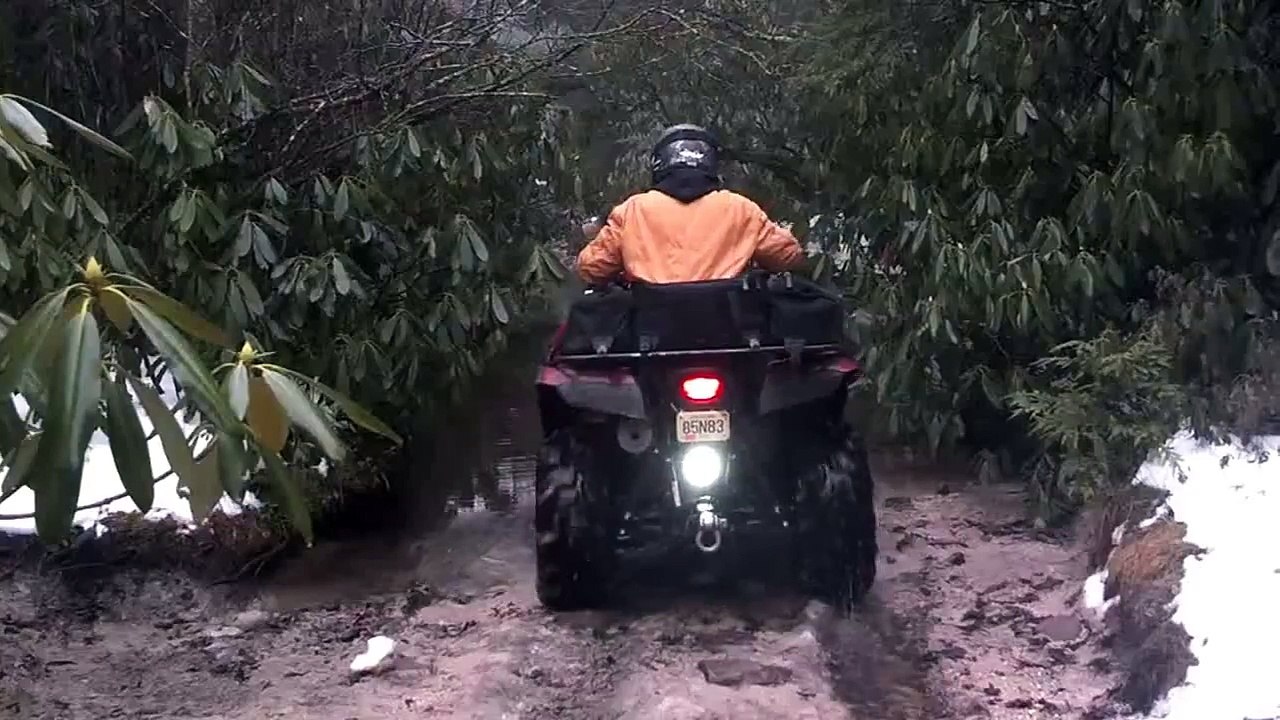 Small Water Crossing at Dixon R. Miller State Forest ATV Trail