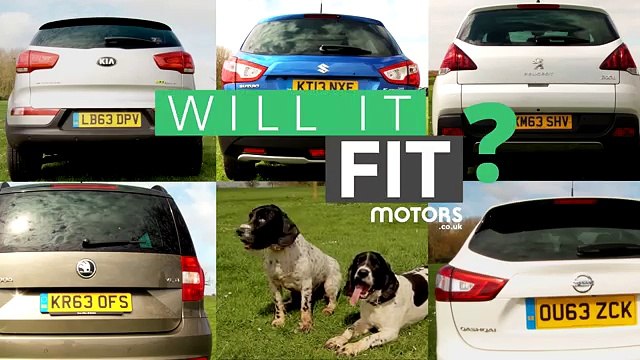 Dog Friendliness Nissan Qashqai vs Kia Sportage vs Suzuki S-Cross vs Peugeot 3008 vs Škoda Yeti