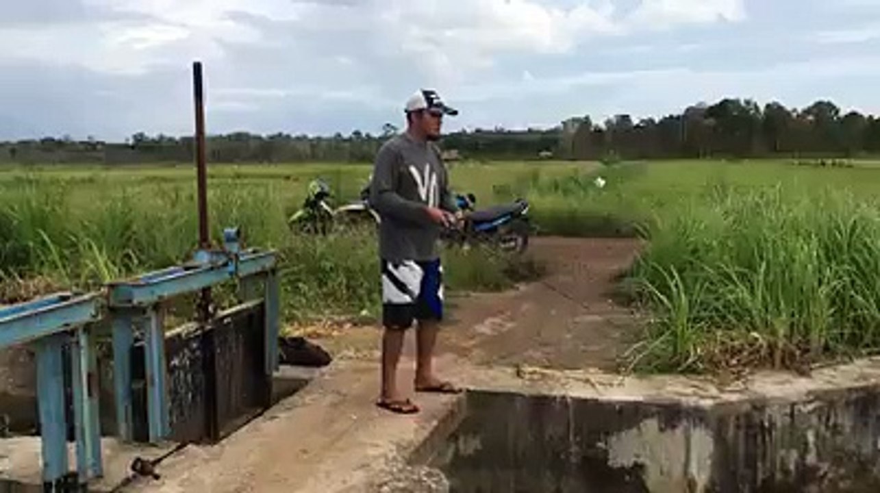Fishing on a river and get a huge fish