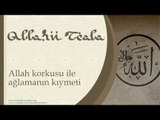 Allah Korkusu İle Ağlamanın Kıymeti - Sorularla İslamiyet