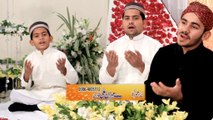 Mera Sohna Nabi Haq E | Mehran Ali Qadri | TS Gold