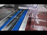 Lava-pela cipollotti / Washing-peeling machine for spring onions