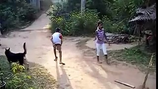 Dog play cricket with children Awesome and unbeliveable