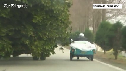 Video Lorry carrying huge tree knocks tricycle and man into