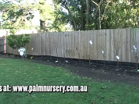 Bamboo Fencing Supply & Install package - Brown Bamboo panels