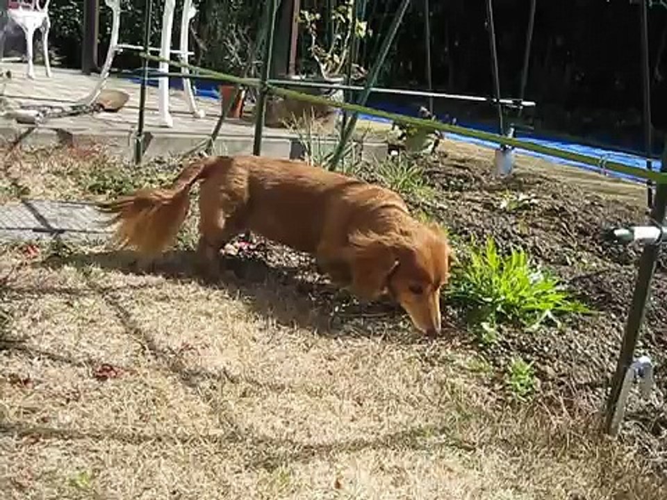 ２０１２春の足音