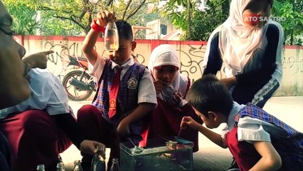 Penjual Ikan Cupang