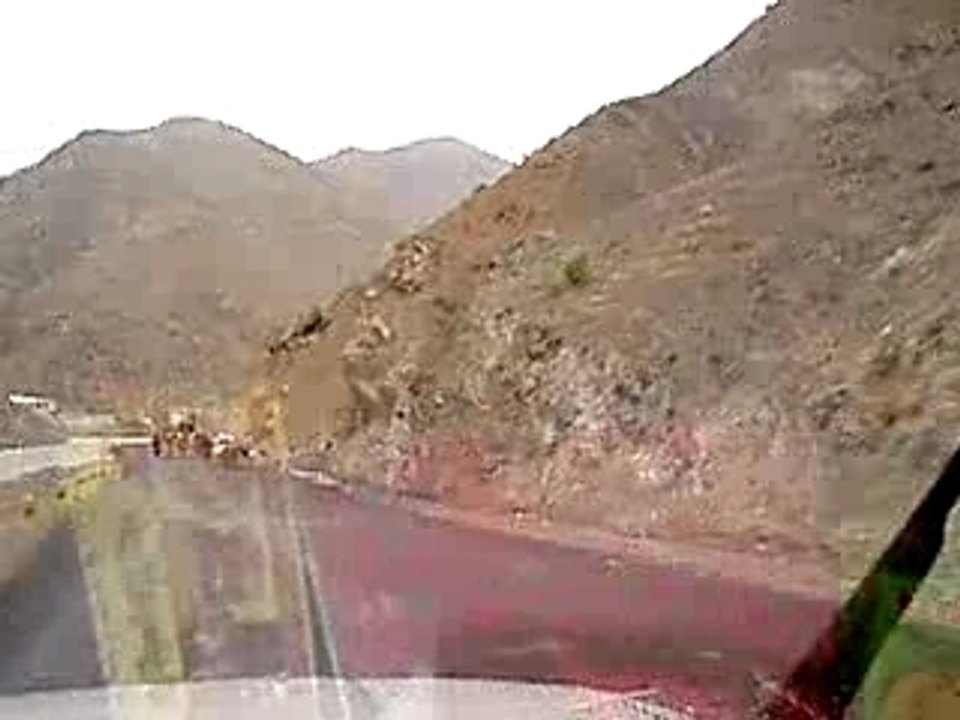 Migration de Qutchi