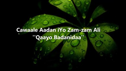 Cawaale Aadan iyo Zam-zam Ali - Qaayo Badanidaa (HD)Lyrics
