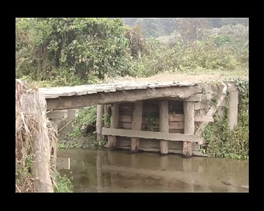 Gorumara Forest
