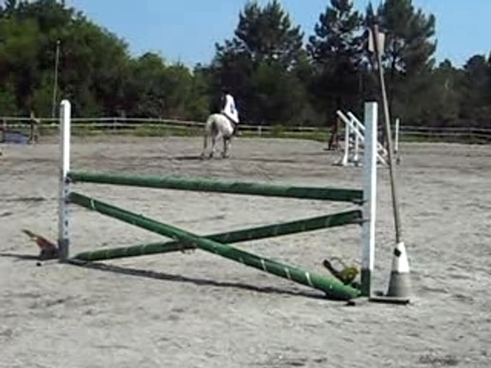 Photo 1533