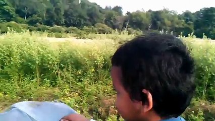 Jim Corbett National Park   Most Visited Tourist Place in India - YouTube