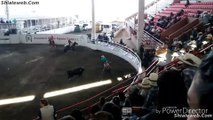 JARIPEO RANCHERO EN LAZO SAN BERNABE TECICUARO DON VASCO MICHOACAN MEXICO TORO SALVAJE DE GANADERIA LOCAL JINETE A ESPUELA LIBRE MARZO 2016