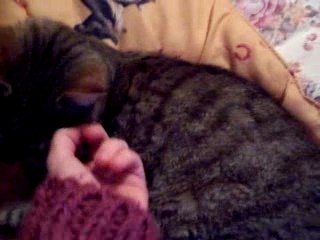 En train de caresser le chat