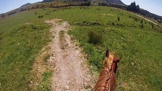 Galloping my thoroughbred~Go Pro hero 3 slow mo footage. WATCH IN HD