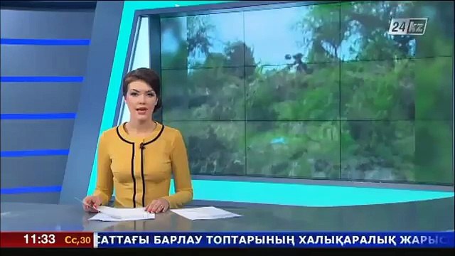 В Индии 8 львов из Красной книги погибли при наводнении