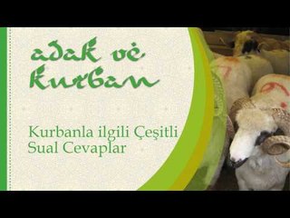 Kurbanla İlgili Çeşitli Cevaplar - Sorularla İslamiyet