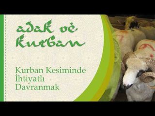 Kurban Kesiminde İhtiyatli Davranmak - Sorularla İslamiyet