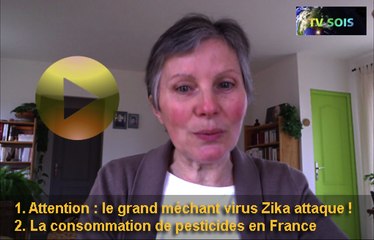 Laure Danjou – TV-Sois News – 2/03/2016