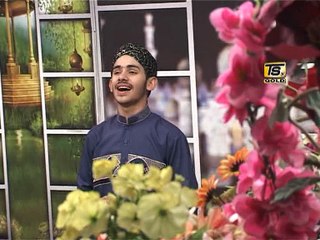 Hy Nabi Da Nabi Da Nabi Da | Mehran Ali Qadri | TS Gold